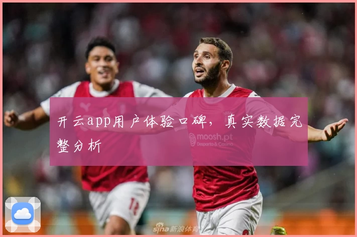 开云app用户体验口碑，真实数据完整分析