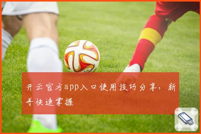 开云官方app入口使用技巧分享，新手快速掌握