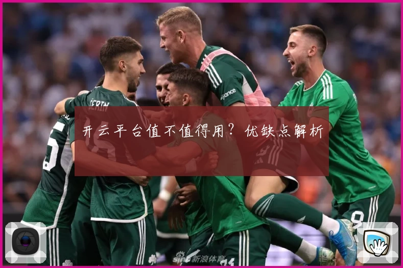 开云平台值不值得用？优缺点解析