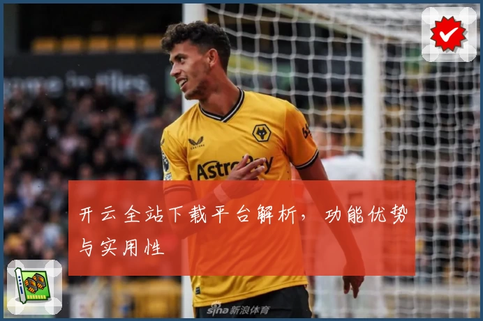 开云全站下载平台解析，功能优势与实用性