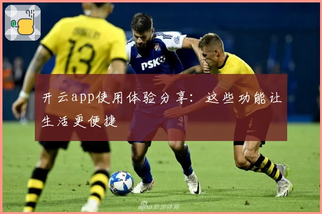 开云app使用体验分享:这些功能让生活更便捷