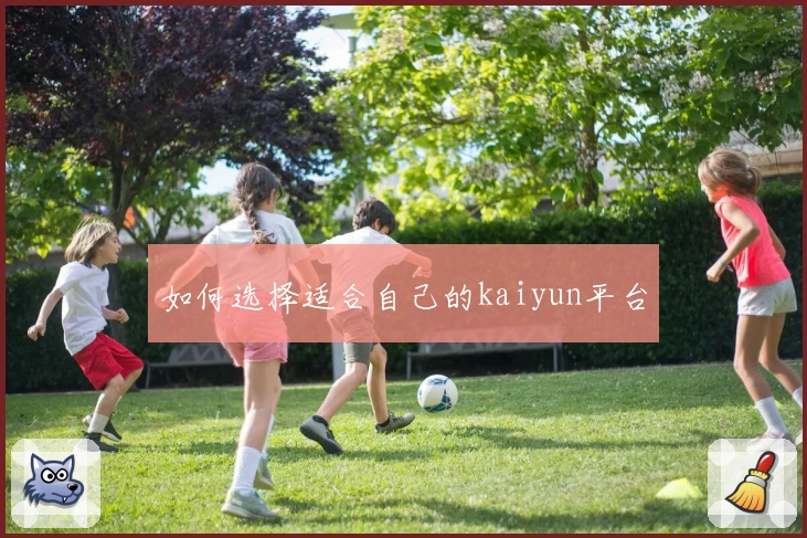 如何选择适合自己的kaiyun平台