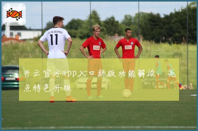 开云官方app入口新版功能解读，亮点特色升级