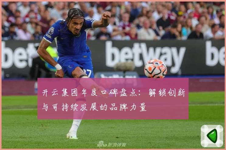 开云集团年度口碑盘点：解锁创新与可持续发展的品牌力量